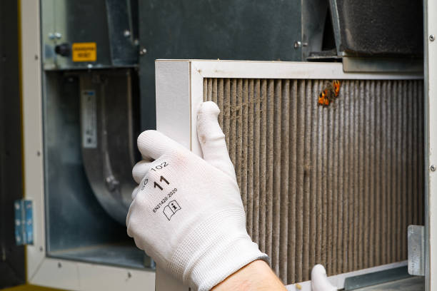 Best Affordable Duct Cleaning Services  in Medina, TX