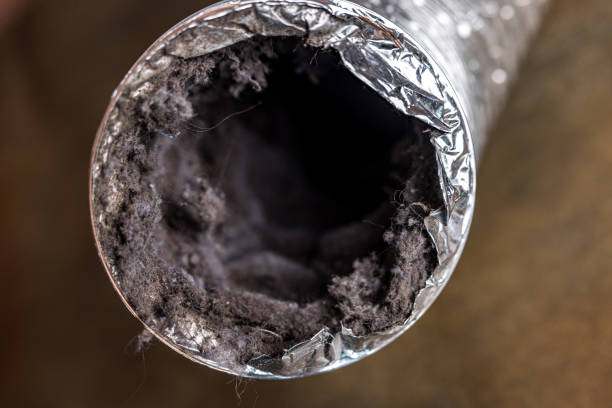 Best Affordable HVAC Duct Cleaning  in Medina, TX