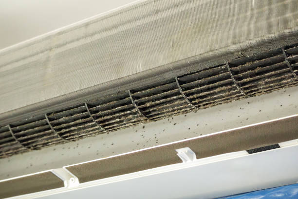 Best Best Air Duct Cleaning Company  in Medina, TX